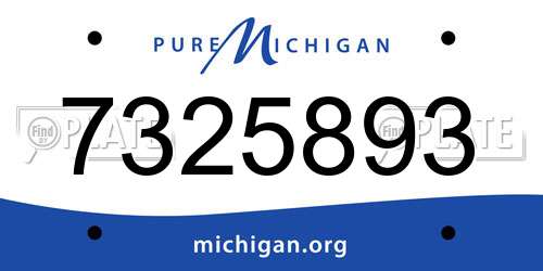 7325893 Michigan License Plate