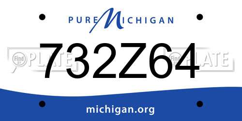732Z64 Michigan License Plate