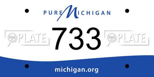 733 Michigan License Plate