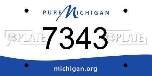 7343 Michigan License Plate