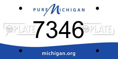 7346 Michigan License Plate