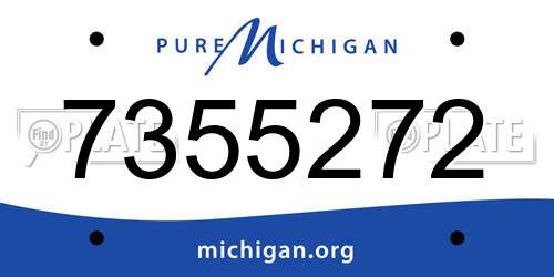 7355272 Michigan License Plate
