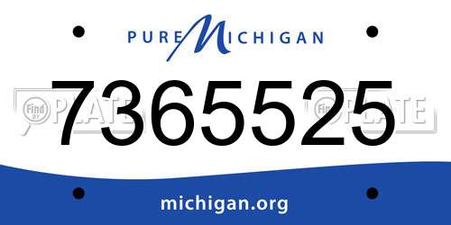 7365525 Michigan License Plate