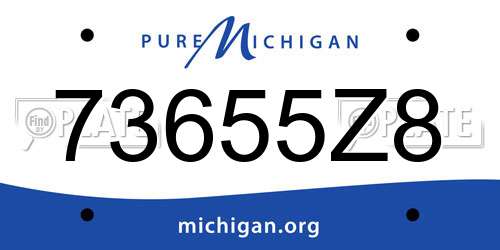 73655Z8 Michigan License Plate