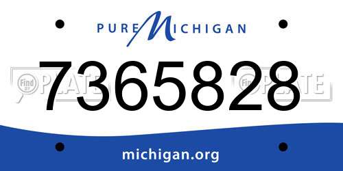 7365828 Michigan License Plate