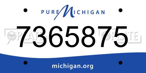 7365875 Michigan License Plate