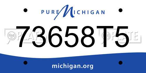 73658T5 Michigan License Plate