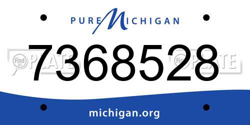 7368528 Michigan License Plate