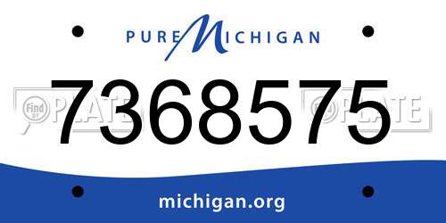 7368575 Michigan License Plate