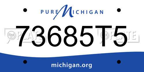 73685T5 Michigan License Plate