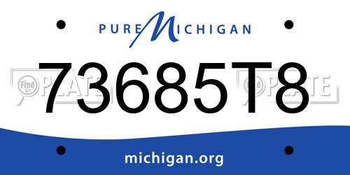 73685T8 Michigan License Plate
