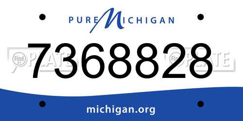 7368828 Michigan License Plate