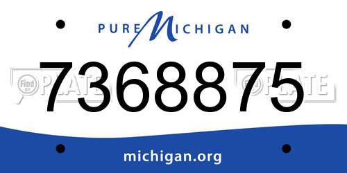 7368875 Michigan License Plate
