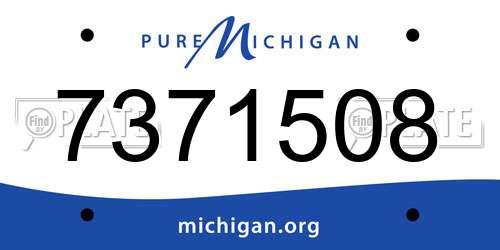 7371508 Michigan License Plate