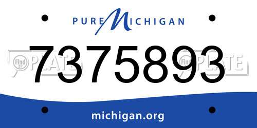 7375893 Michigan License Plate