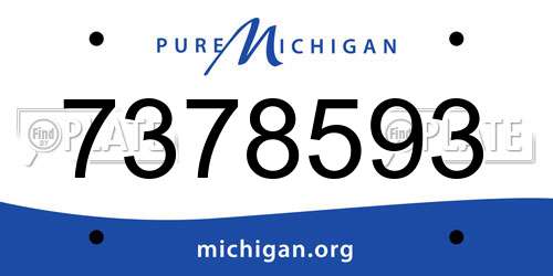 7378593 Michigan License Plate