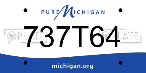 737T64 Michigan License Plate