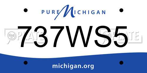 737WS5 Michigan License Plate