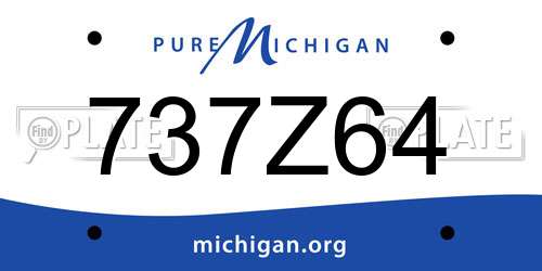 737Z64 Michigan License Plate