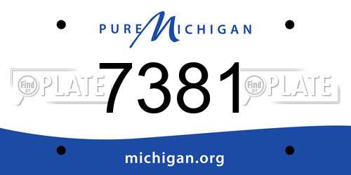 7381 Michigan License Plate