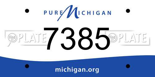 7385 Michigan License Plate