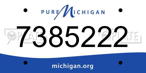 7385222 Michigan License Plate