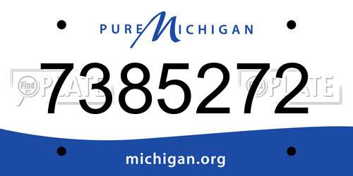 7385272 Michigan License Plate