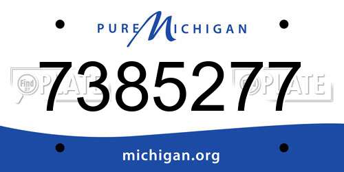 7385277 Michigan License Plate