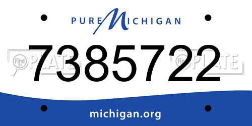 7385722 Michigan License Plate