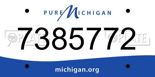 7385772 Michigan License Plate