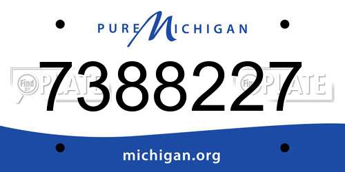 7388227 Michigan License Plate