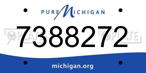 7388272 Michigan License Plate