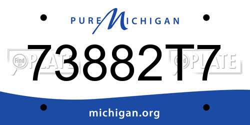 73882T7 Michigan License Plate