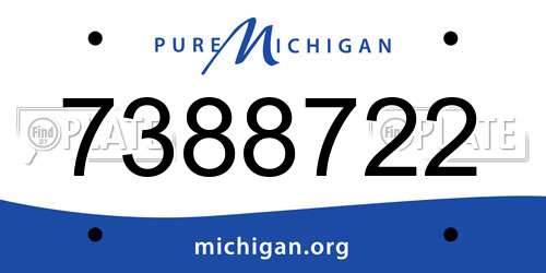 7388722 Michigan License Plate