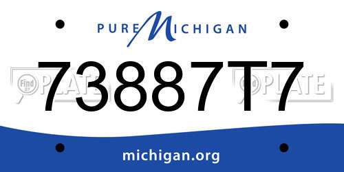 73887T7 Michigan License Plate