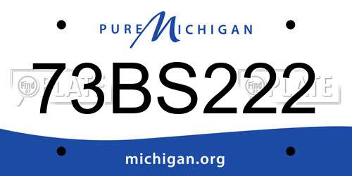 73BS222 Michigan License Plate