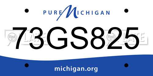 73GS825 Michigan License Plate