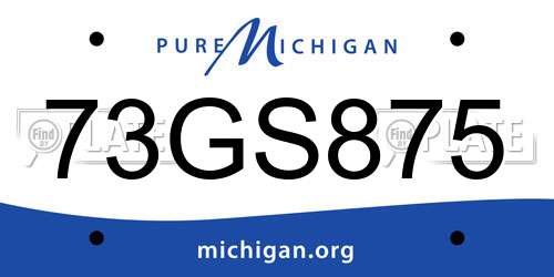 73GS875 Michigan License Plate