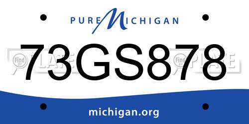 73GS878 Michigan License Plate