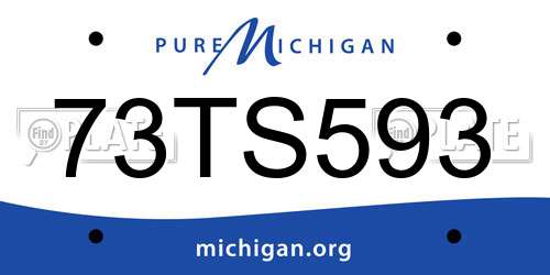 73TS593 Michigan License Plate