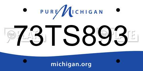 73TS893 Michigan License Plate