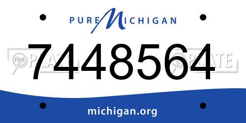 7448564 Michigan License Plate