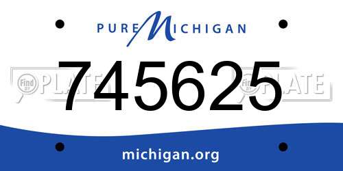 745625 Michigan License Plate