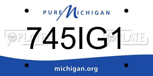 745IG1 Michigan License Plate