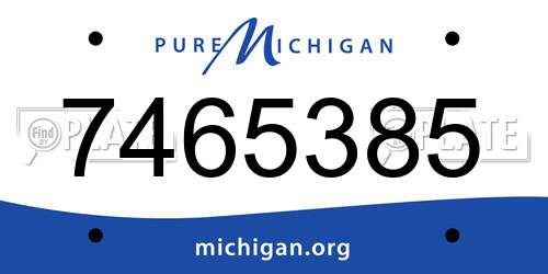 7465385 Michigan License Plate