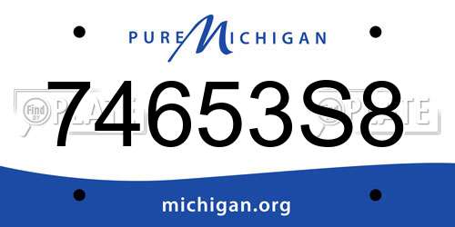 74653S8 Michigan License Plate