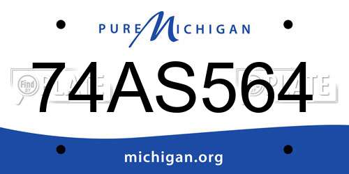 74AS564 Michigan License Plate