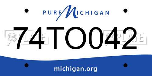 74TO042 Michigan License Plate