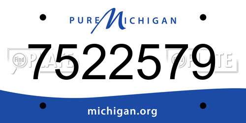 7522579 Michigan License Plate