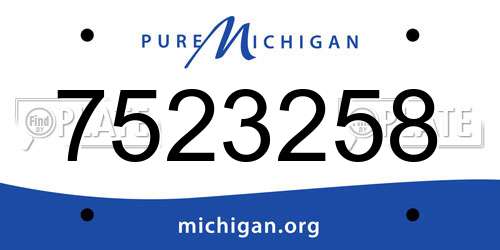 7523258 Michigan License Plate